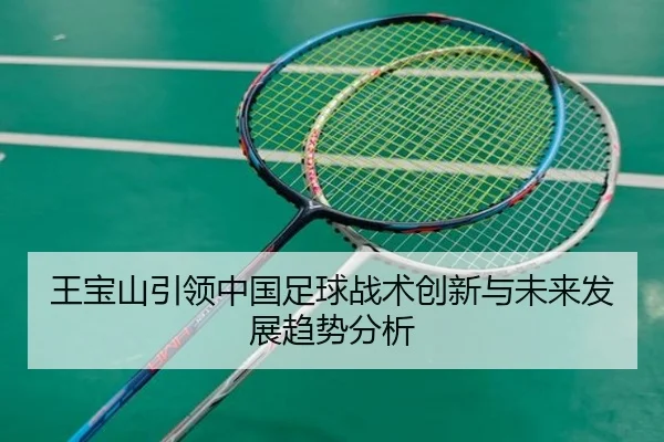 wang-bao-shan-yin-ling-zhong-guo-zu-qiu-zhan-shu-chuang-xin-yu-wei-lai-fa-zhan-qu-shi-fen-xi-2-617.jpg